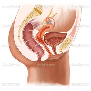 Type Of Bladder Infection - How To Heal A Urinary Tract Infection With Water