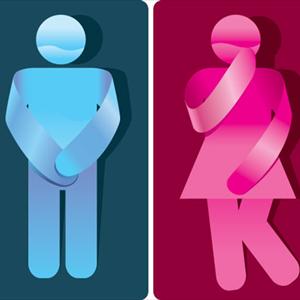 Urinary Tract Infections Symptoms Women 