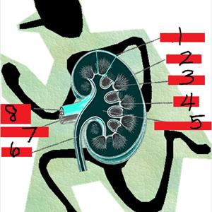 Antibiotic Methods